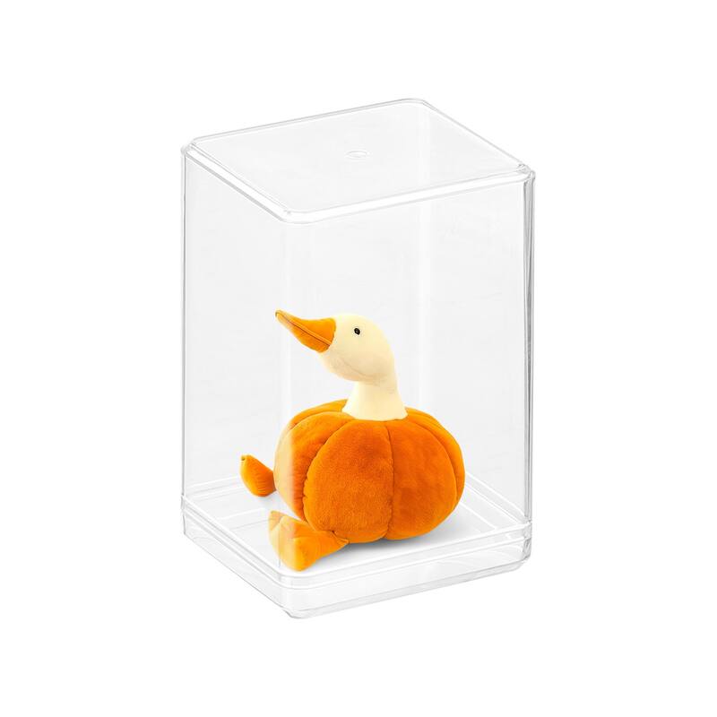 Clear Acrylic Display Case, 2.5"x3.8"x2.2" Display Box for Figures