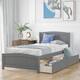 Option Grey