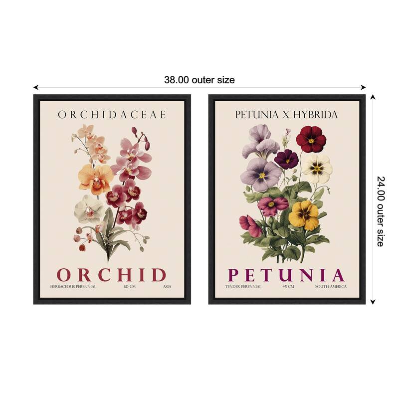 Amanti Art Vintage Orchid Petunia & Hydrangea 2 Piece by Christopher Giampietro Framed Canvas Wall Art - Black