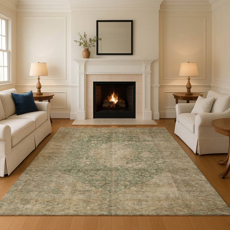 Premium Washable Super Soft Vintage Traditional Mayfield Rug - Aloe - 3' x 5'