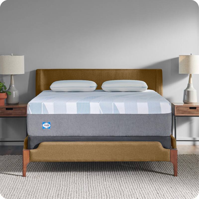 Sealy Dreamlife 14" Foam Mattress-in-a-Box