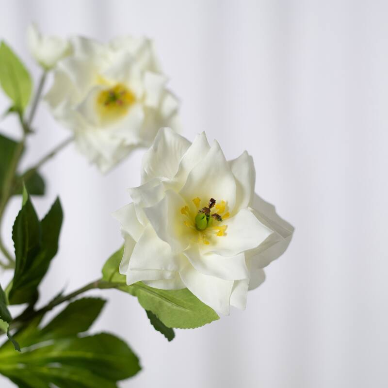 Silk Decorative Artificial Persian Buttercup(Pack of 1 Branch)