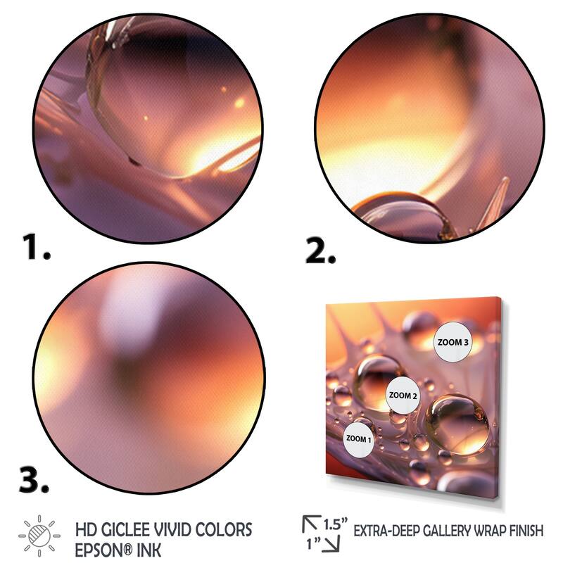 Designart "Morning Dew Drops On Pink Flower Petal" Flowers Framed Wall Art Prints