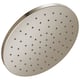 Option SpotShield Brushed Nickel