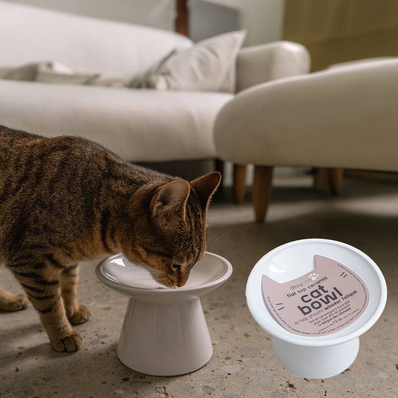 Dexypaws: Flat Top Ceramic Bowl For Cats - White - 7.5oz Capacity