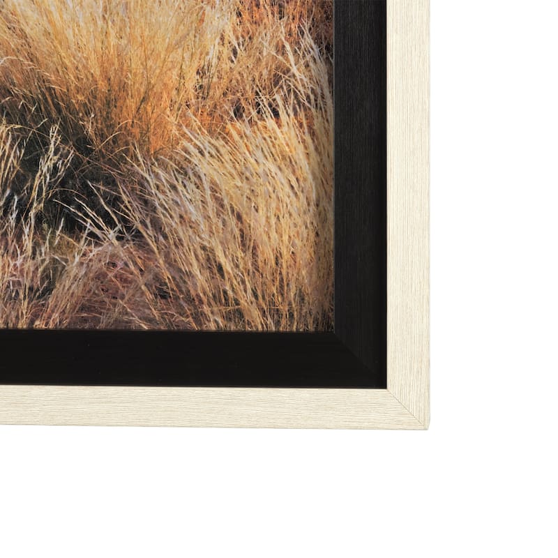 Bold Adventure Framed Art Print