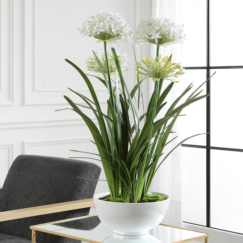 Artificial Agapanthus Floral Centerpiece in a Glossy Planter - 38.5" - White and Green
