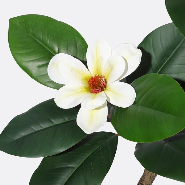 dirty_pothos Pothos N'Joy