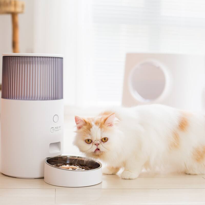 Pet Marvel Automatic Cat Feeder Automatic Cat Food Dispenser with Wifi App Control