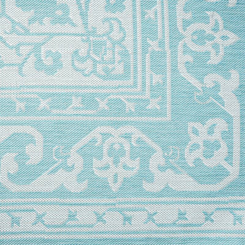 Exo Coastal Oriental Indoor/Outdoor Area Rug