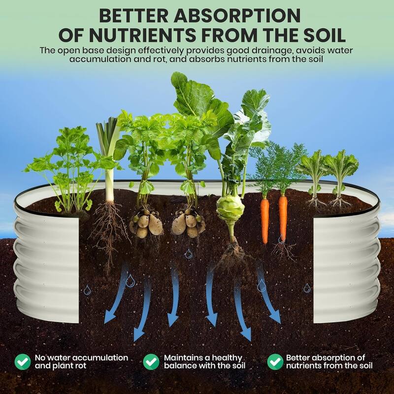 2-Pack Galvanized Steel Oval Raised Garden Beds (6*3*1.5FT) - Large Metal Planter Box with Open Base Off-White