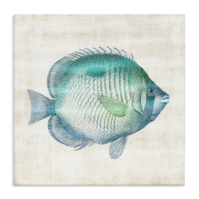 Stupell Fish Impression Sea Life Canvas Wall Art Design By Susan Arnot - 17 x 17