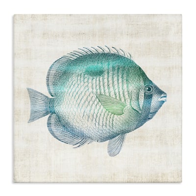 Stupell Fish Impression Sea Life Canvas Wall Art Design By Susan Arnot
