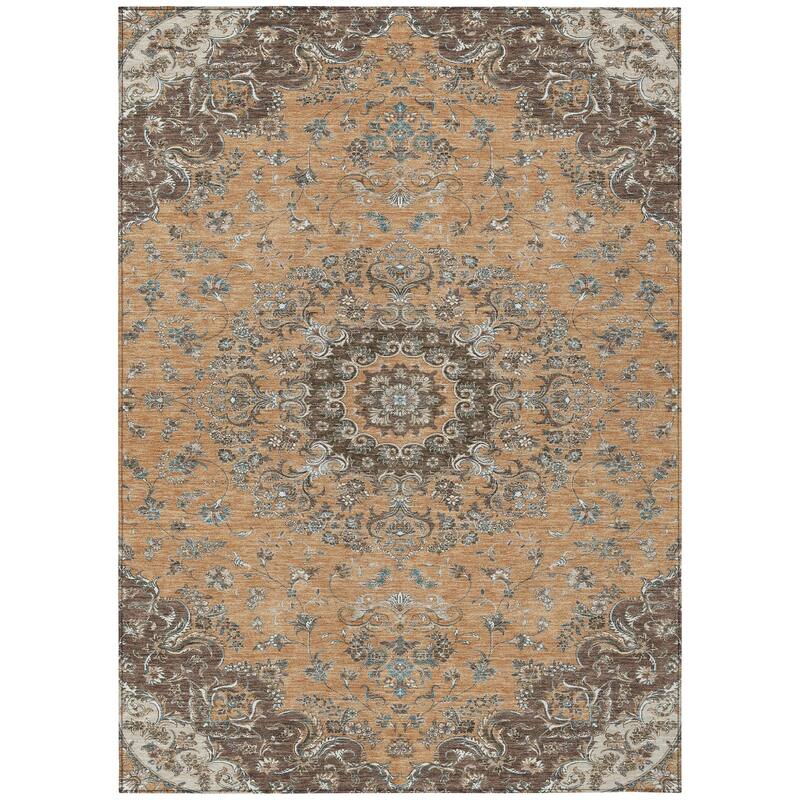 Machine Washable Indoor/ Outdoor Traditional Niko Chantille Rug