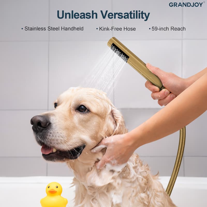 GRANDJOY Dual Shower Kit with Round Rainfall Head and Hand Shower, Lever Control Valve