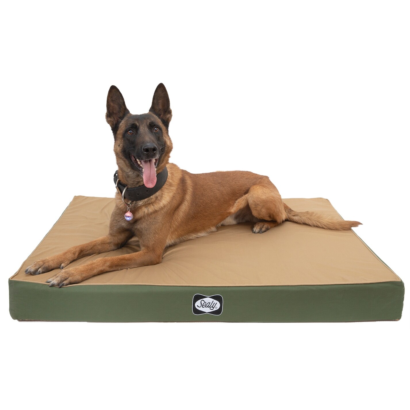 serta indoor outdoor dog bed