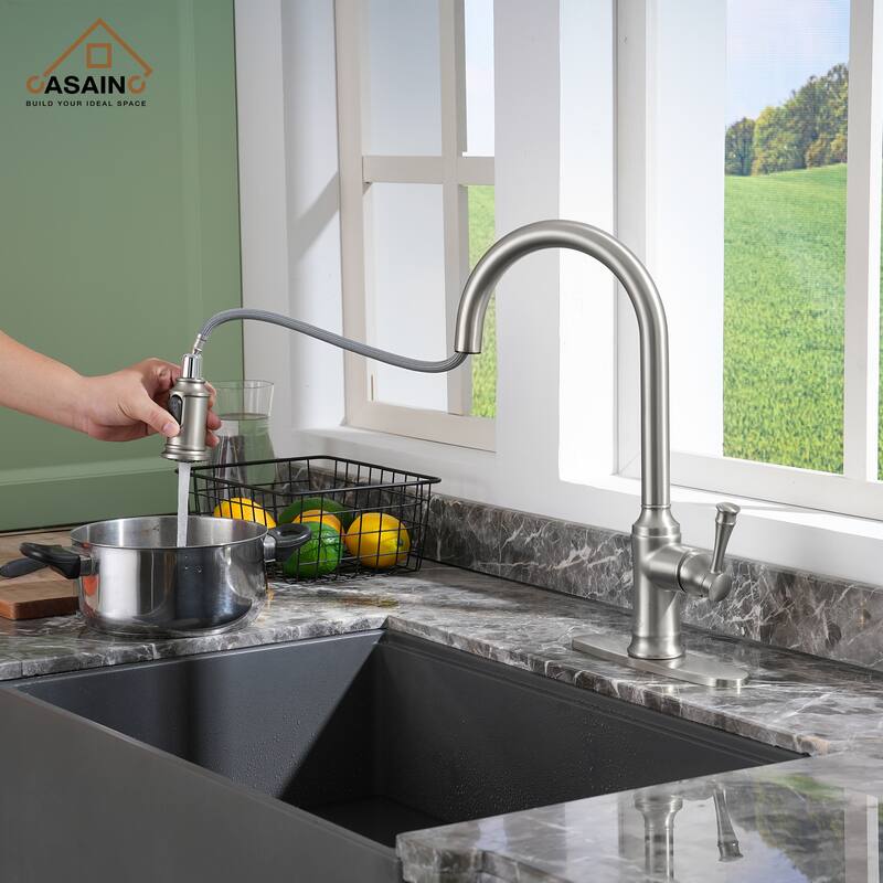 Single Handle Pull Out Sprayer Kitchen Faucet