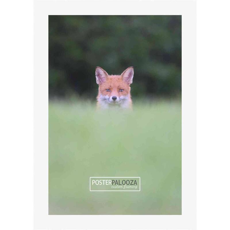 36x28 Contemporary White Complete Wood Picture Frame with UV Acrylic, Foam Board Backing, & Hardware