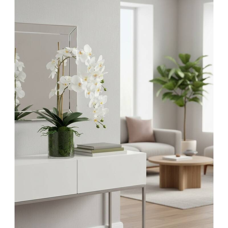 Orchids Arranged in Glass Vase with Moss - 26