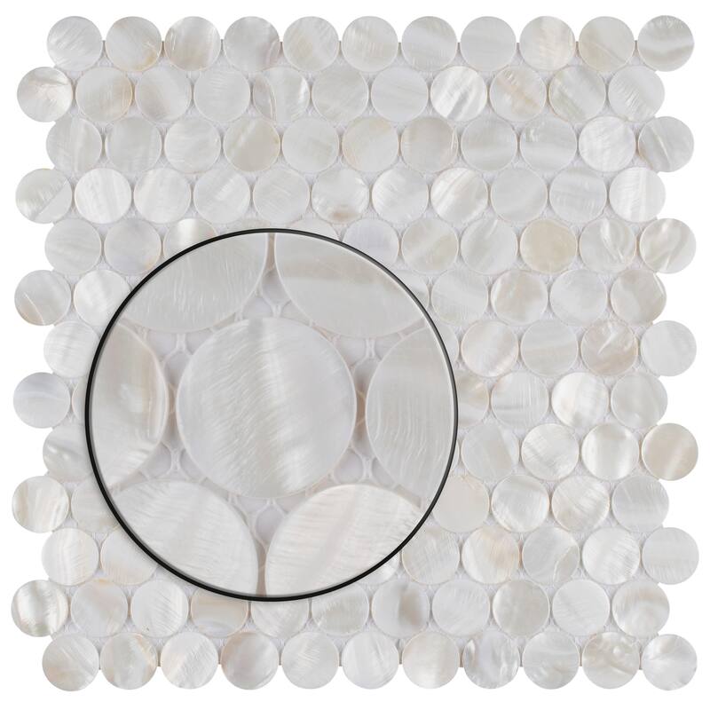 Merola Tile Conchella Penny White 11-1/4" x 11-5/8" Natural Shell Wall Tile