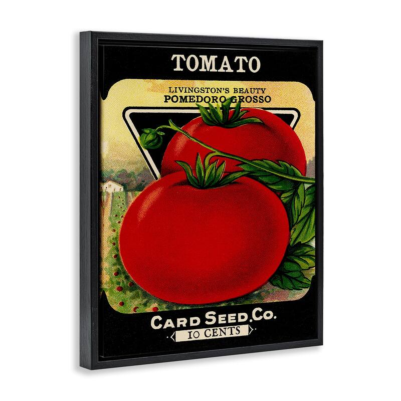 Stupell Vintage Garden Tomato Framed Floater Canvas Wall Art Design By Lil' Rue