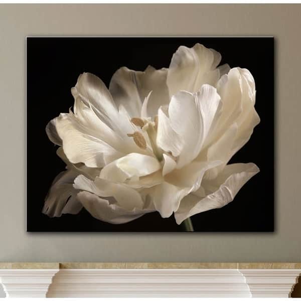 slide 2 of 7, ArtWall Cora Niele 'White Tulip' Gallery Wrapped Canvas Wall Art