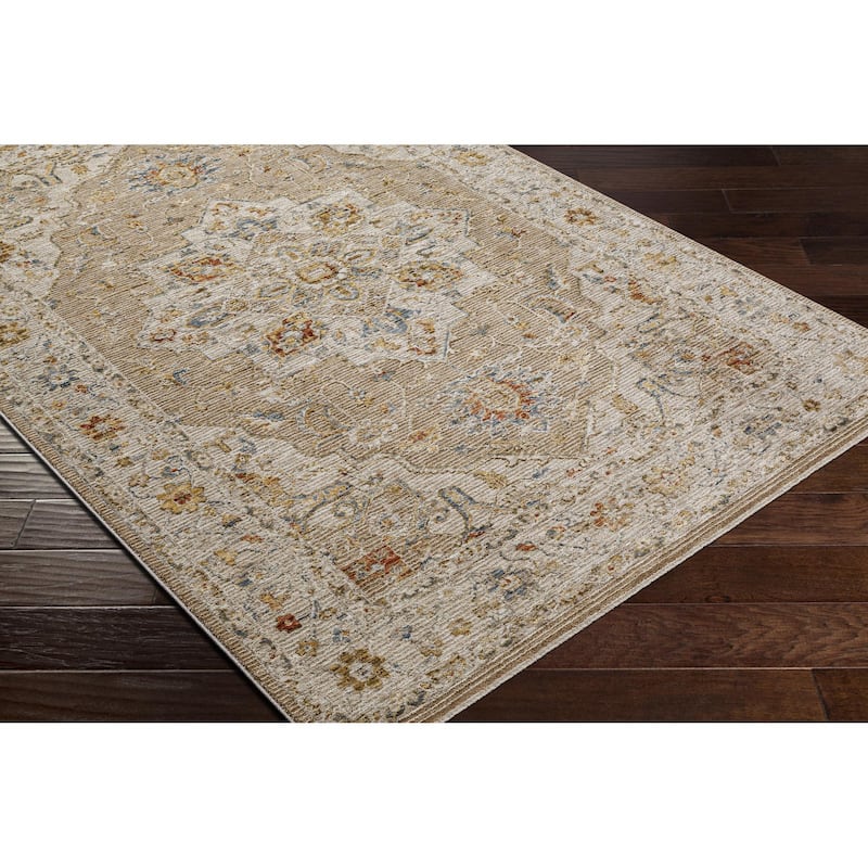 Tereza Updated Traditional Medallion Area Rug