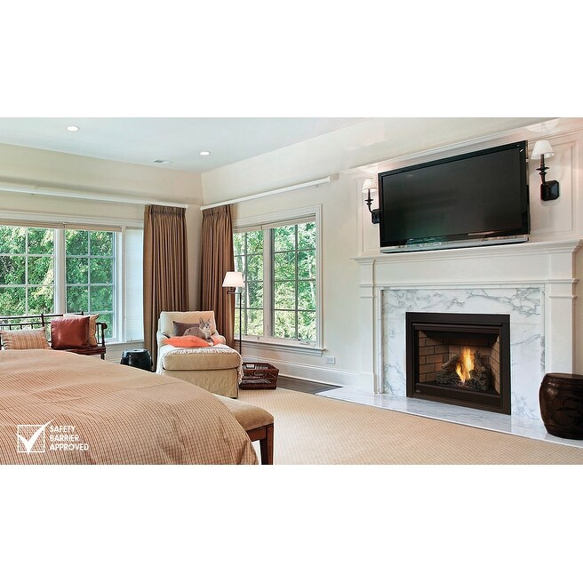 Shop Napoleon B42ntr 22000 Btu Built In Direct Vent Natural Gas