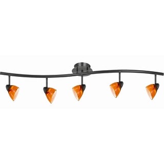 5 Light 120V Metal Track Light Fixture with Glass Shade, Black and ...