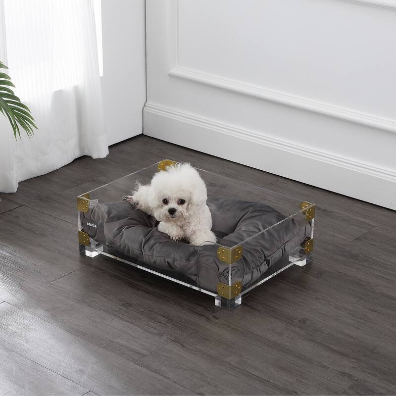 Haines 21.5" x 15.25" Small/Medium Modern Lucite Velvet Pet Bed with Washable Cushion, Dark Gray/Clear