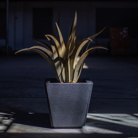 Octopus Agave Steel Planter Combo