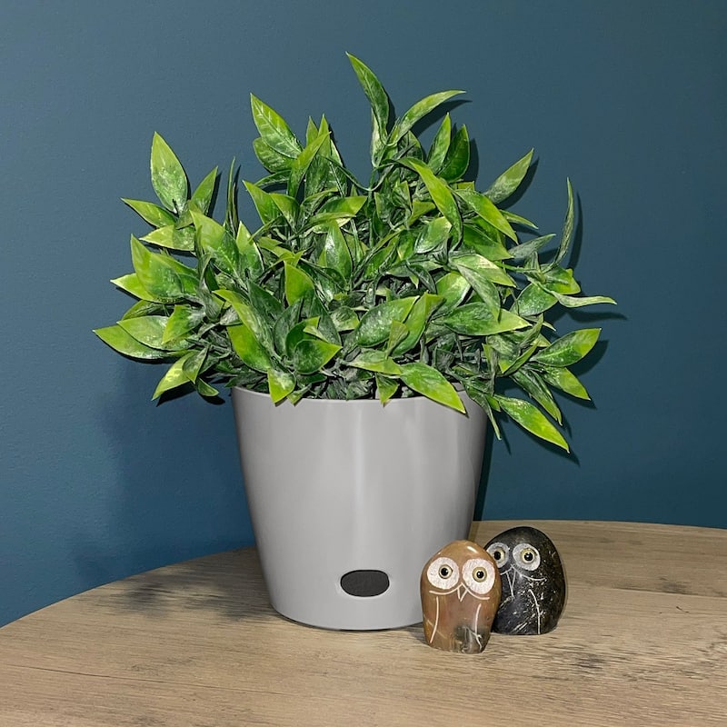 Bamboo Blooms Self-Watering Plant Pot Set of 3 - 5"-7"-10"Round