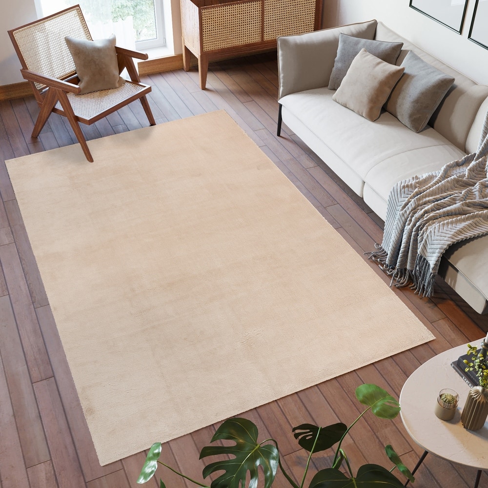 Cadence Tonee Plush Polyester Solid Color Non-Slip Super-Soft Shag Indoor Area Rug
