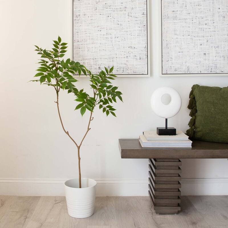 Potted Double Branched Sumac Artificial Tree - 3.5' - Green