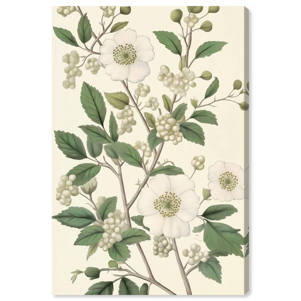 White Cherokee I Canvas by Art Remedy, Gallery Wrapped