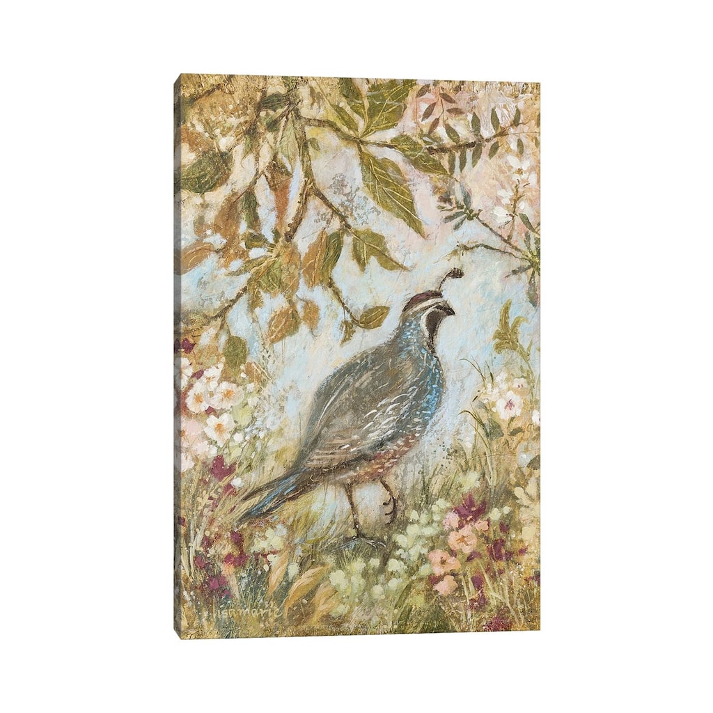 iCanvas "Quail Steps Out" by Lisa Marie Kindley Canvas Print