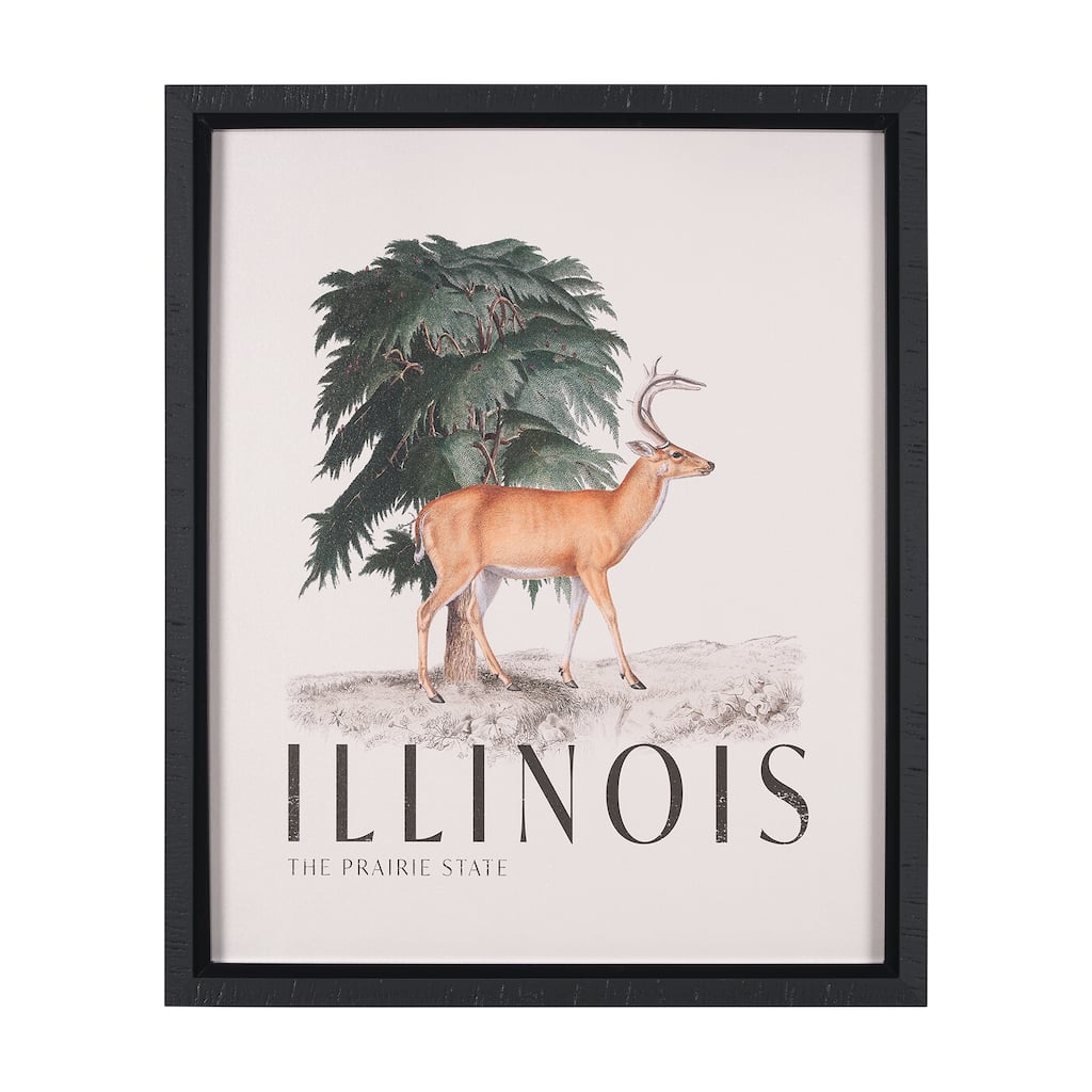 Travel Guide - Illinois