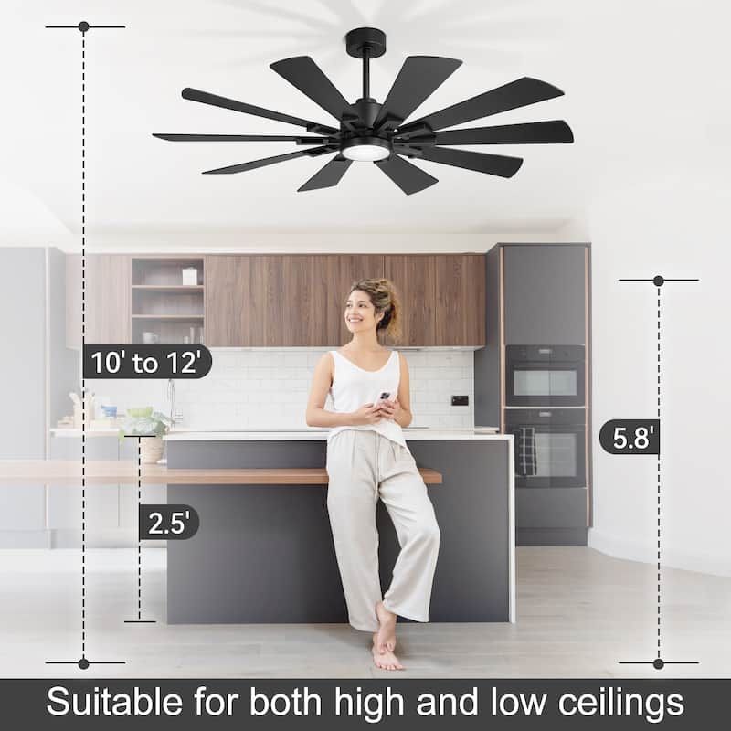 62/72-Inch Reversible 10-Blade Large Ceiling Fan with Light and Remote