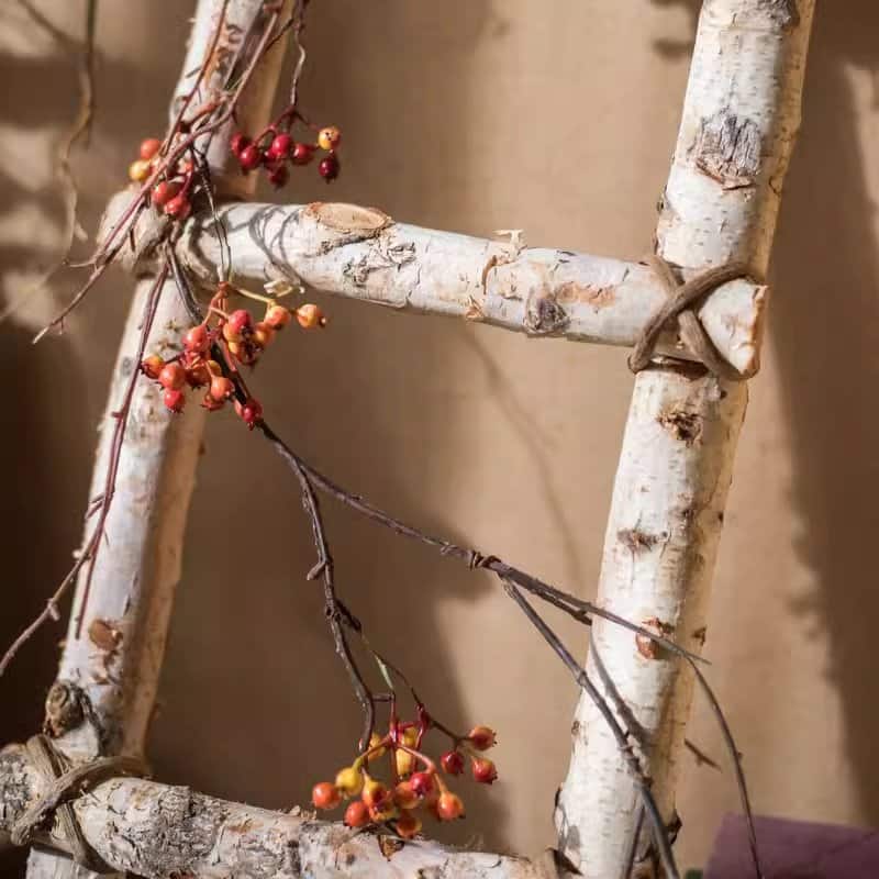 RusticReach White Birch Wood Decorative Ladder