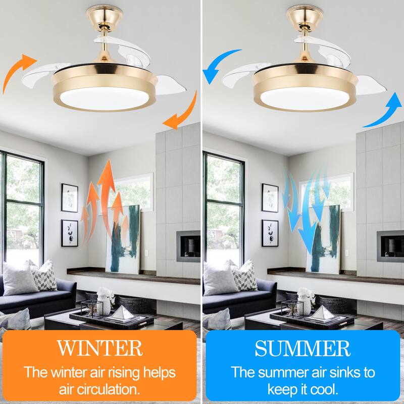 Cusp Barn Modern 36 Inch Retractable Ceiling Fan with Lights and Remote 6 Speeds Silent DC Motor LED Light Fixture for Bedroom