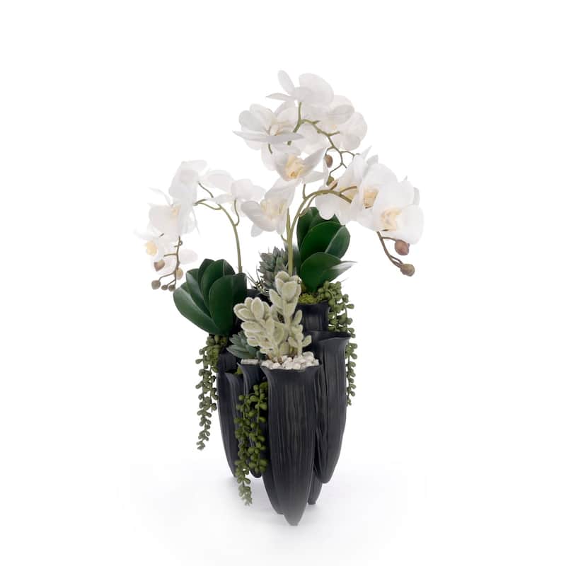 Real Touch White Orchid Succulent Floral in Black Pot
