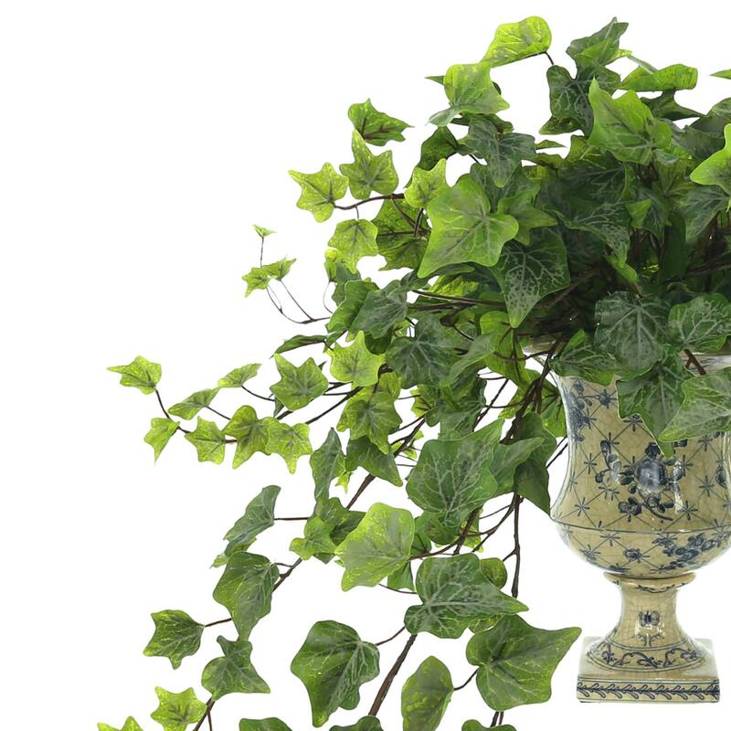Ivy Arrangement in a Decorative Ceramic Vase - Green