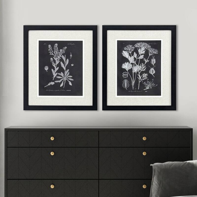 Paragon Mono Botanicasl II Framed Art - Set of 2 - 2-piece Set