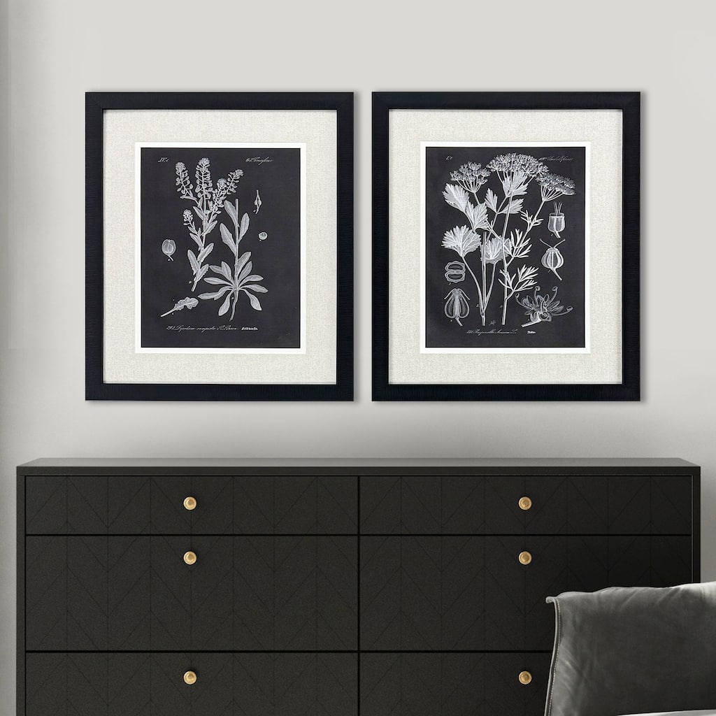 Paragon Mono Botanicasl II Framed Art - Set of 2