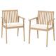 Option Oak