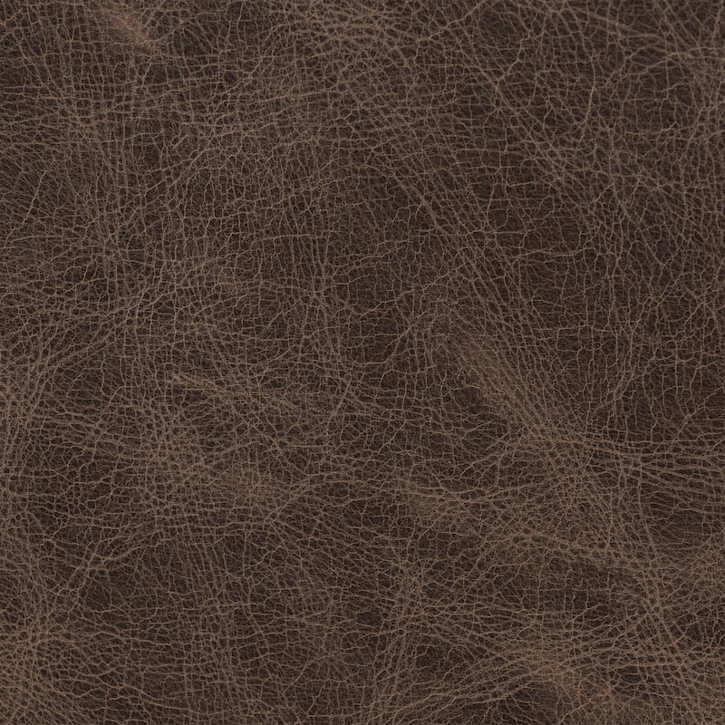 Poly & Bark Essex 86" Genuine Leather Pull-Out Convertible Sleeper Sofa