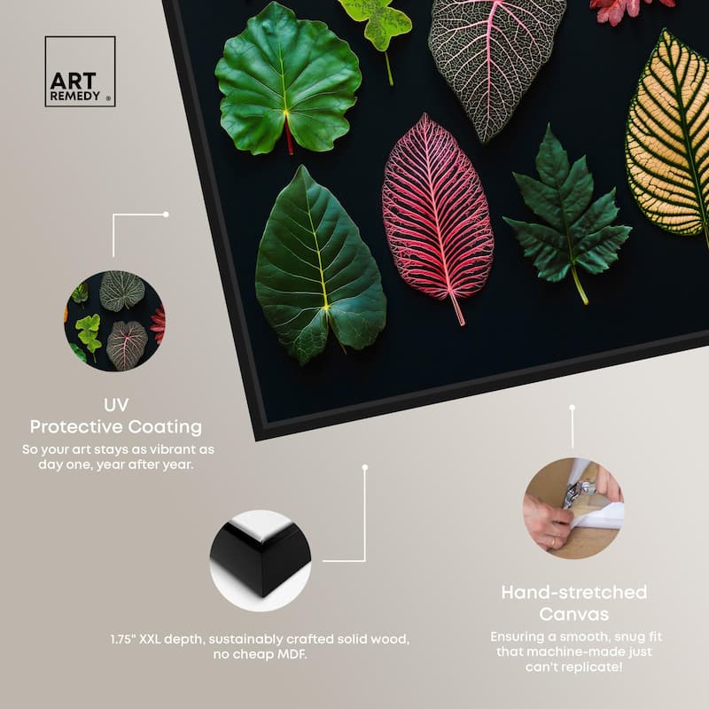 Leaf Lexicon Canvas by Art Remedy