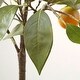 preview thumbnail 4 of 2, SAFAVIEH Faux Orange Potted Tree - 19.7" W x 15.4" L x 33.1" H