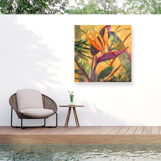 Nanette Oleson 'Splash Of The Tropics I' Outdoor Canvas