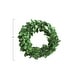 preview thumbnail 5 of 5, Preserved Genuine Boxwood Wreath